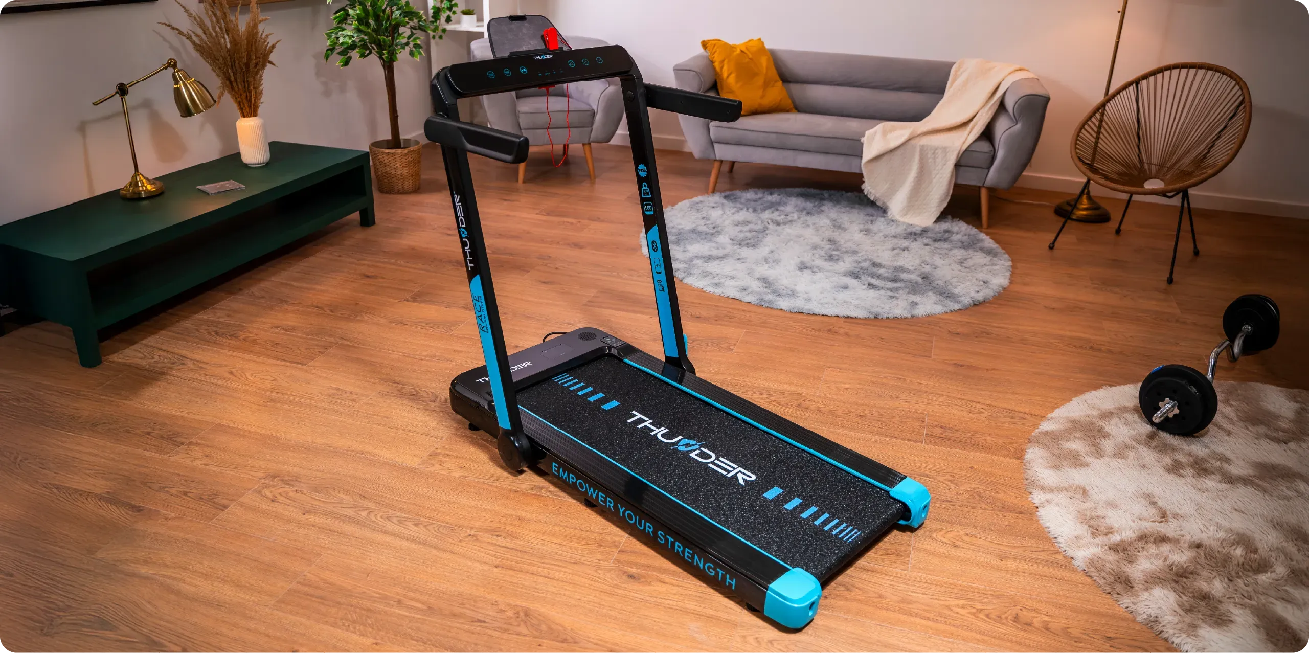 Преглед на действието