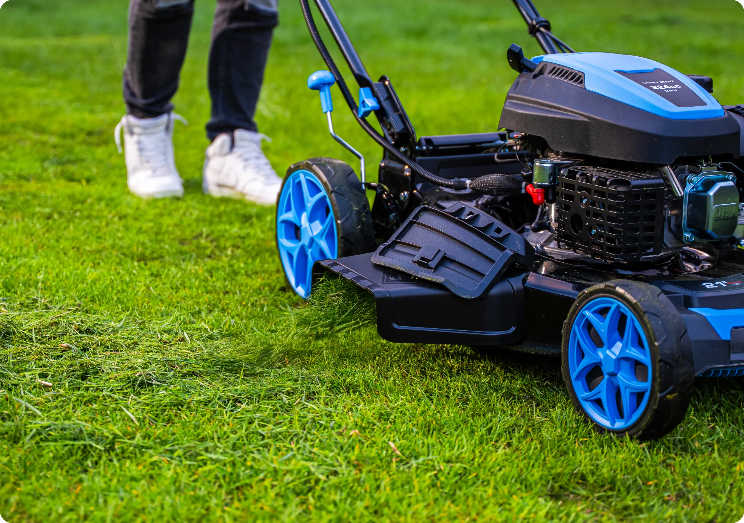 Najważniejsze cechy