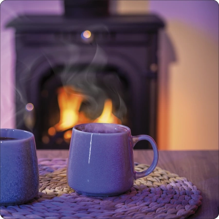 Чугунена печка на дърва AGNI 7 kW